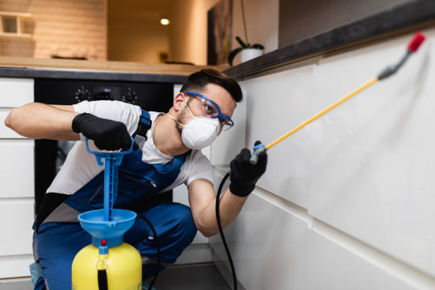 Best Termite Control Services  in West Park, NJ