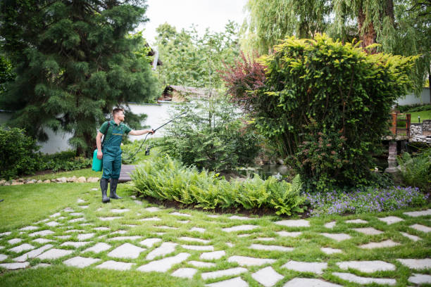 Best Local Pest Control Services  in West Park, NJ