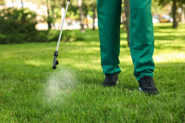 Best Rat Extermination Near Me  in West Park, NJ