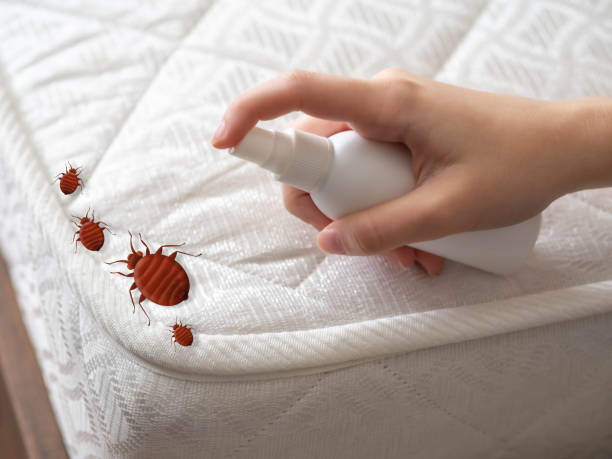 Best Pest Prevention Services  in West Park, NJ