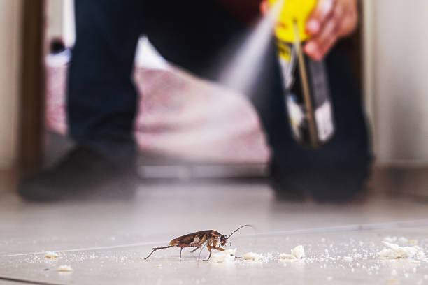 Best Pest Inspection Near Me  in West Park, NJ