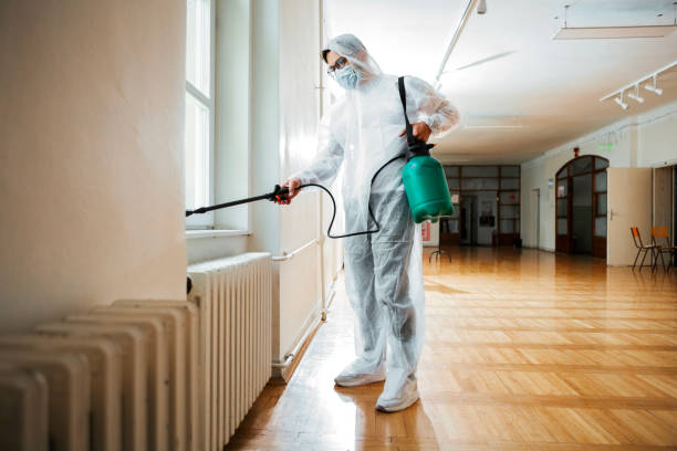 Best Flea Control Services  in West Park, NJ